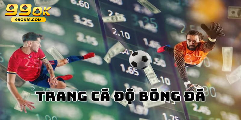 Hành Trình Đặt Niềm Tin Vào Trang Cá Cược Bóng Đá 99ok81 Những lưu ý quan trọng khi tham gia trang cá cược bóng đá online