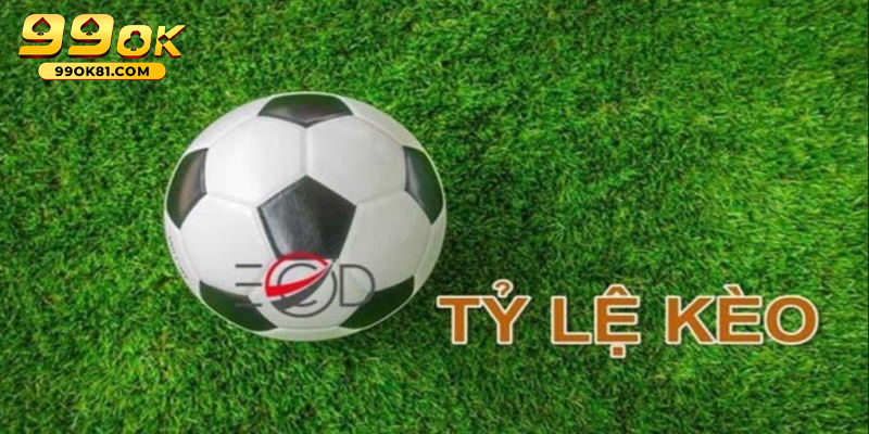 Tìm Hiểu Tỷ Lệ Cá Cược Bóng Đá Chinh Phục Nhà Cái 99ok81 ty le ca cuoc bong da 3